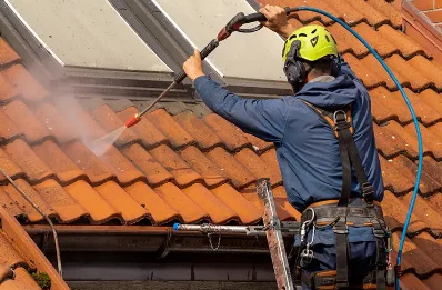 Démoussage et hydrofuge de toiture à Albiès